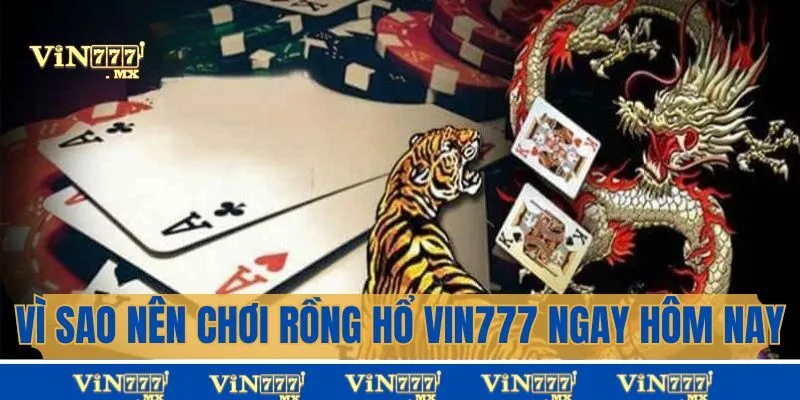 Vì sao nên chơi Rồng Hổ Vin777 ngay hôm nay?